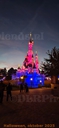 20251011_195237.JPG
