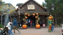 DSC06765.JPG