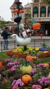 DSC06739.JPG