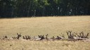 DSC03571.JPG