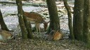 DSC03606.JPG