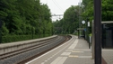 DSC06341.JPG