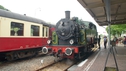 DSC06347.JPG