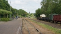 DSC06434.JPG