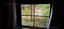20251010_110642.JPG