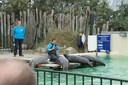 DSC07529.JPG
