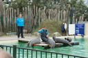 DSC07530.JPG