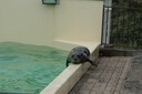 DSC07531.JPG