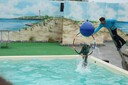 DSC07542.JPG