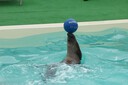 DSC07543.JPG