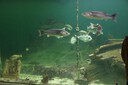 DSC07605.JPG