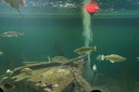 DSC07607.JPG