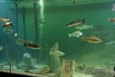 DSC07608.JPG