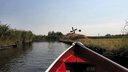 20200812_152622.JPG