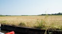 DSC05501.JPG