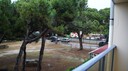 DSC06516.JPG