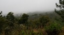 DSC06522.JPG