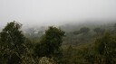 DSC06523.JPG