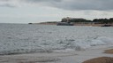 DSC06550.JPG