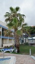 DSC06619.JPG