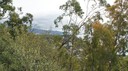DSC06641.JPG