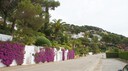 DSC06684.JPG