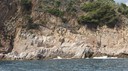 DSC06781.JPG