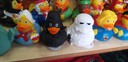 20200804_172459.JPG