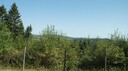 DSC03497.JPG
