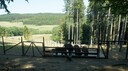 DSC03509.JPG