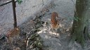 DSC03544.JPG