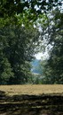 DSC03549.JPG