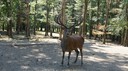 DSC03553.JPG