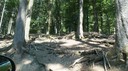DSC03559.JPG