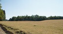 DSC03568.JPG