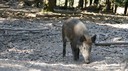 DSC03588.JPG