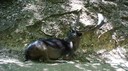DSC03620.JPG