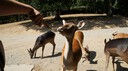 DSC03625.JPG