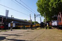 DSC00175.JPG