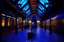 DSC00235.JPG