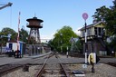 DSC00250.JPG